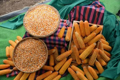 Maize strategic plan ready for cabinet consideration