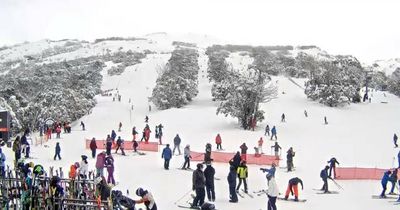 Snow falling in towns surrounding ACT as ski region gets a dump