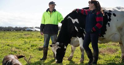 Meet the Wagga farmers behind the region's multi-award winning milk