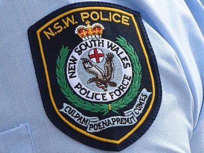 Alleged drunk Sydney police puncher bailed