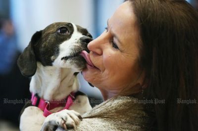 Study shows dogs get teary-eyed when they reunite with owners