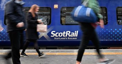 Elderly disabled passenger 'set upon' by group of teens on Lanarkshire rail service