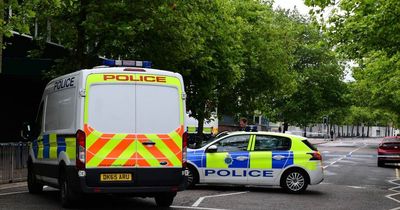 Man hands himself into police after woman stabbed to death