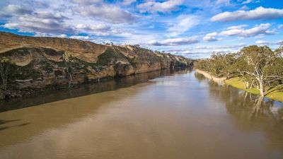 SA's first River Murray commissioner named, but irrigators have questions over role