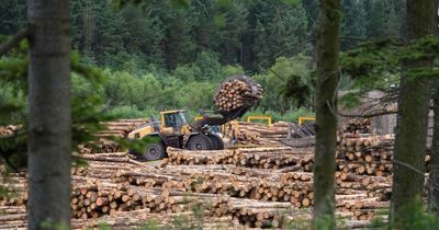 Scottish timber business acquires stake in fast growing Bradford-based Power Sheds