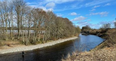 New group forms to help protect salmon in Perthshire