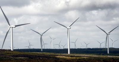 Octopus Energy customers could cut bills in half if they live near a wind turbine