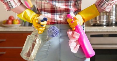 Woman branded a 'Karen' for requesting discount from her cleaner because she drank water