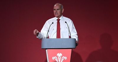 More radical proposals put forward for major changes to the way Welsh rugby is run after another independent review