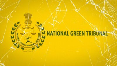 National Green Tribunal is suddenly clearing a lot of cases. It’s, well, odd
