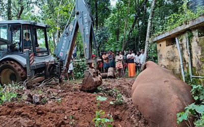 Wild elephant dies after falling into septic tank in Kerala