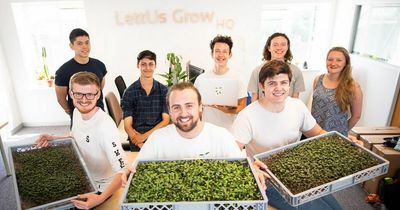 Bristol agritech company to teach vertical farming to prisoners as part new trial