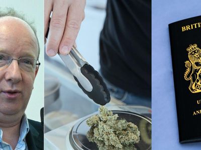 Lord Finkelstein Tries Weed For The First Time: Does Smoking In A Legal State Make Him Ineligible For US Visa?