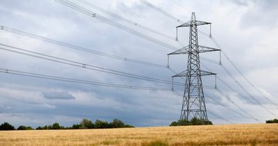 Wargaming for 'winter disaster' on energy supplies - but what is Exercise Degree?