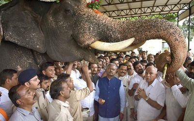 Dasara: Entry tax waiver sought for inter-State tourist vehicles