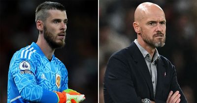 Erik ten Hag found ‘ideal’ short-term solution for Man Utd’s David De Gea vs Liverpool