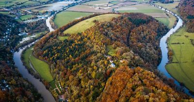 UK turns ORANGE in 'false autumn' as leaves start to fall three weeks early