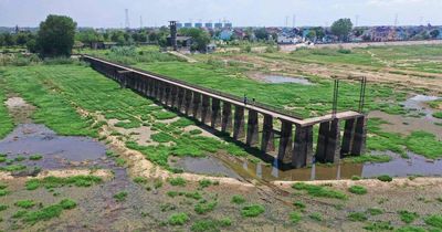 Ancient river statues revealed as China endures 70-day heatwave and ongoing drought