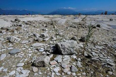 Europe hit by worst drought in at least 500 years as climate change fears grow