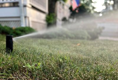 These are dry, stressful days for lawns. Some tips to help.