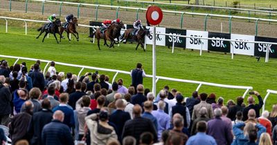 Wednesday horse racing tips from Newsboy with best bets at Lingfield and Catterick