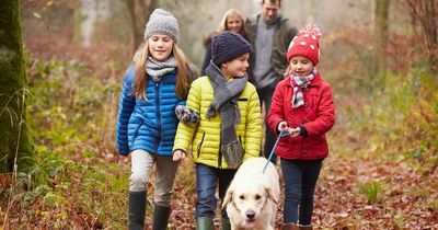 Dog trainer shares ten best breeds to own if you have children