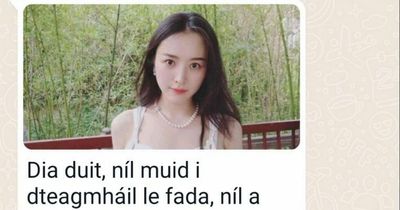Scammers go as Gaeilge in latest WhatsApp scam targeting Irish people