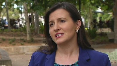 Sydney news: Labor MP Tania Mihailuk 'completely rejects' bullying claims and is backed by leader Chris Minns