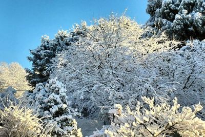 Snow blankets Blue Mountains as cold weather moves across NSW