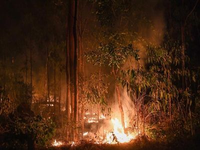 Wet winter points to lower bushfires risk