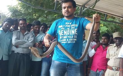 Indian Council of Medical Research studies morbidity of snakebites