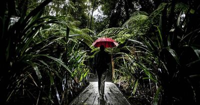 Australian National Botanic Gardens in Canberra are just so Instagrammable