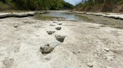 Drought Uncovers Dinosaur Tracks in US Park