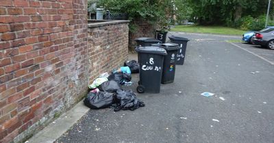 Man taken to court after leaving bags of rubbish near his home