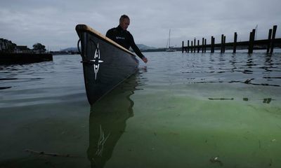 ‘It stinks’: Windermere plagued by blue-green algae as ‘toxic as cobra venom’