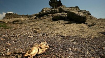 China Warns of 'Severe' Threat to Harvest from Worst Heatwave on Record