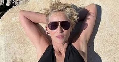 Sharon Stone, 64, amazes fans as she shows off impressive figure in plunging swimsuit