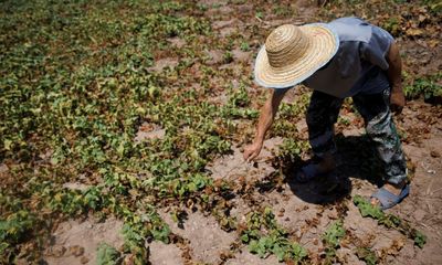 China issues alert as drought and heatwave put crops at risk