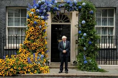 Downing St transformed with sunflowers to show solidarity with Ukraine