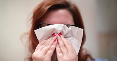Why hay fever sufferers are seeing their symptoms return with high pollen count warning in Wales