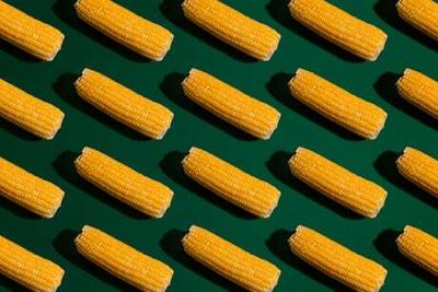 CornTok explained: Why is TikTok obsessed with corn right now?