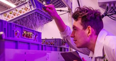Bristol company to teach prisoners all about indoor urban farming in UK first