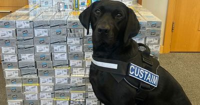 Cannabis and cigarettes worth over €200,000 seized at Dublin Airport from 'car parts' boxes