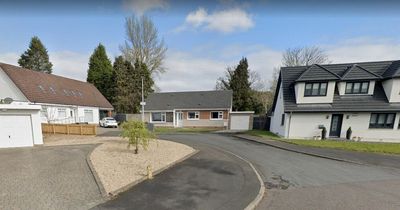 Lanarkshire OAP repeatedly struck with metal pole by men posing as workers