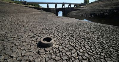 August set to be another dry month despite some heavy rain