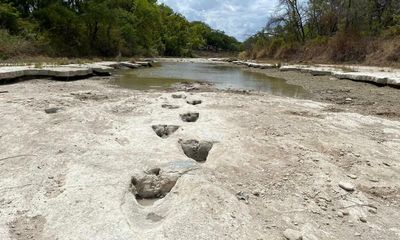 Dinosaur tracks revealed in Texas as severe drought dries up river