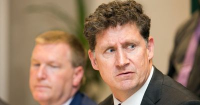 Eamon Ryan calls for two investigations into Robert Troy's 'significant errors'