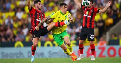 Cardiff City transfer news as Norwich City striker speaks out on future amid uncertainty and name ruled out in striker search