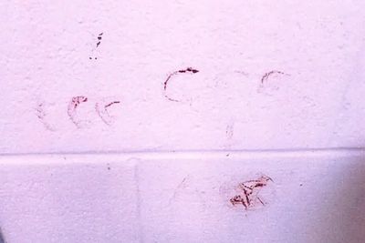 Disturbing photo shows Nikolas Cruz wrote ‘666’ in his own blood on prison cell walls