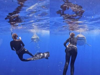 Scuba diver shows how to escape a shark attack with a live shark demonstration